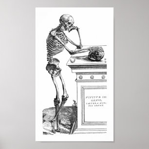 Póster Vivitur Ingenio - esqueleto