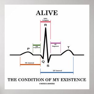 Póster Vivo La Condición De Mi Existencia (ECG/EKG)