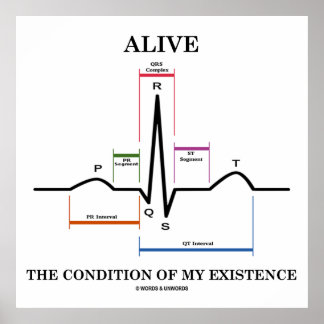 Póster Vivo La Condición De Mi Existencia (ECG/EKG)
