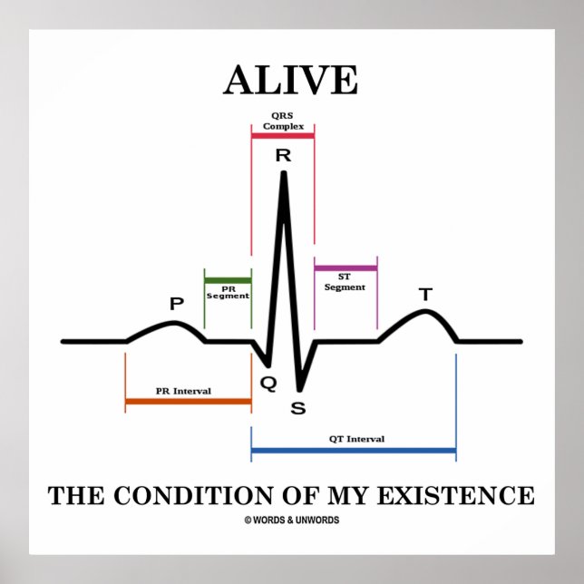 Póster Vivo La Condición De Mi Existencia (ECG/EKG) (Frente)