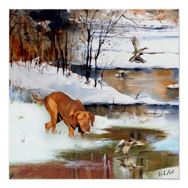 Póster Vizsla húngara, patos de caza en invierno (Anverso)