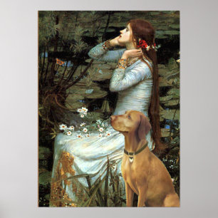 Póster Vizsla - Ophelia Sentada