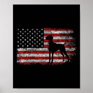Póster Vizsla Patriota Amante De Perros 4 De Julio 