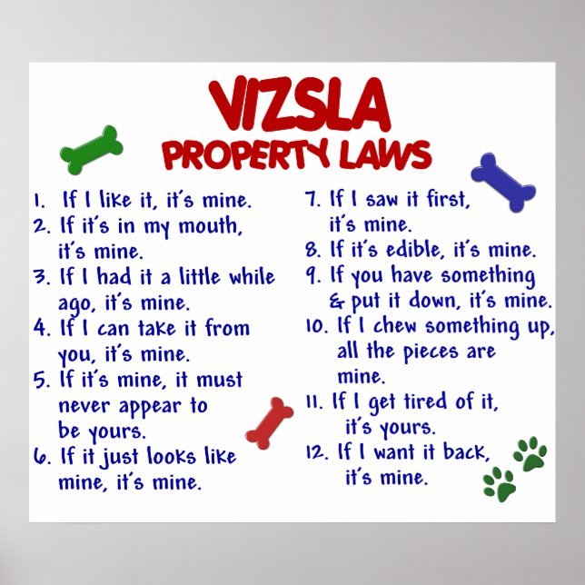 PÓSTER VIZSLA PL2 (Frente)