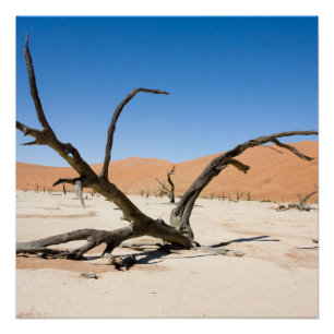 Póster Vlei muerto, Namibia