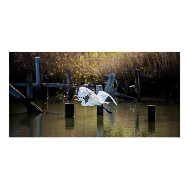 Póster Volando (Anverso)