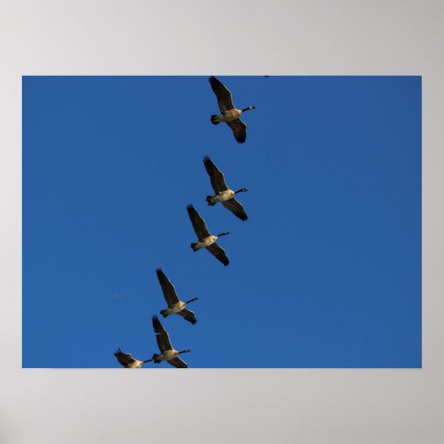 Póster Volando (Frente)