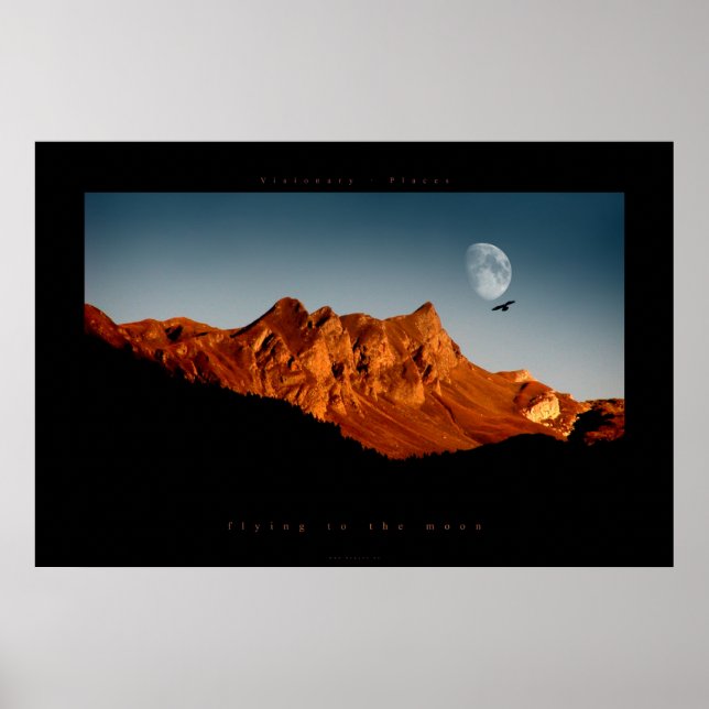 Póster volando a la luna (Frente)