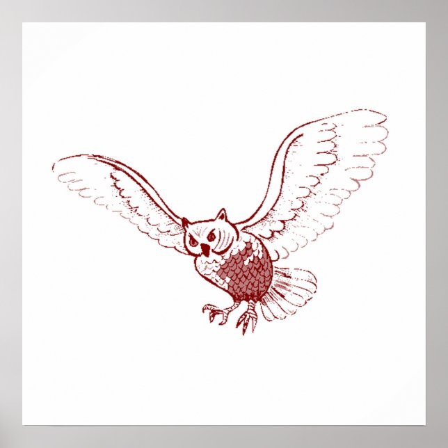 Póster Volando búho (Frente)
