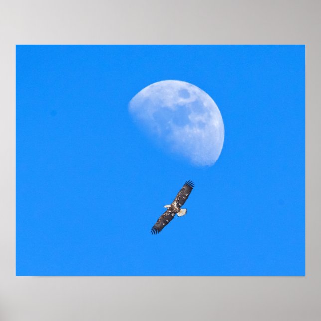 Póster Volando más allá de la luna (Frente)