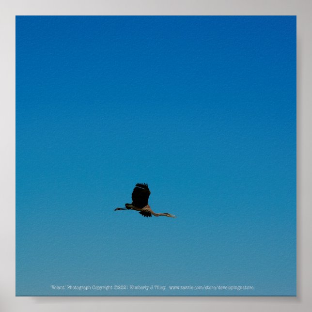 Póster Volante (Frente)