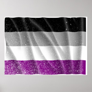 Póster VOLANTE DE BANDERA ASEXUAL -.png