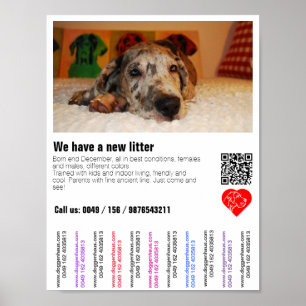 Póster Volante de cachorro en venta con código QR