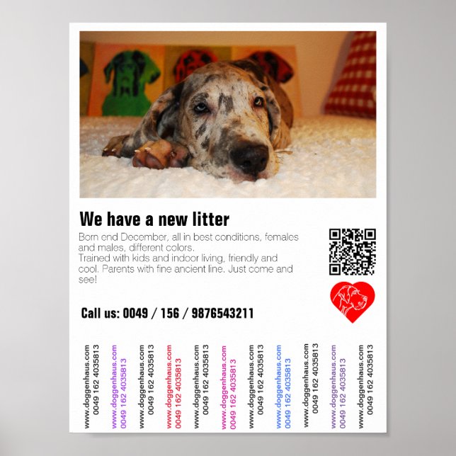 Póster Volante de cachorro en venta con código QR (Frente)