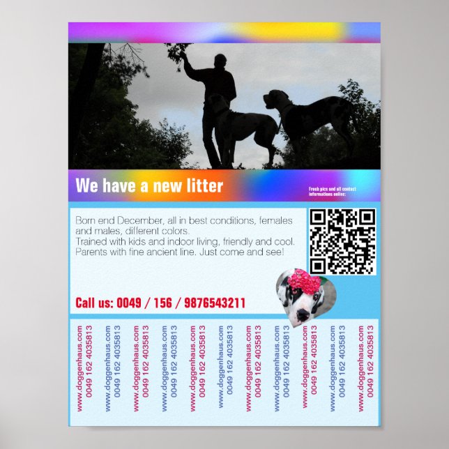 Póster Volante de cachorros en venta con código QR (Frente)
