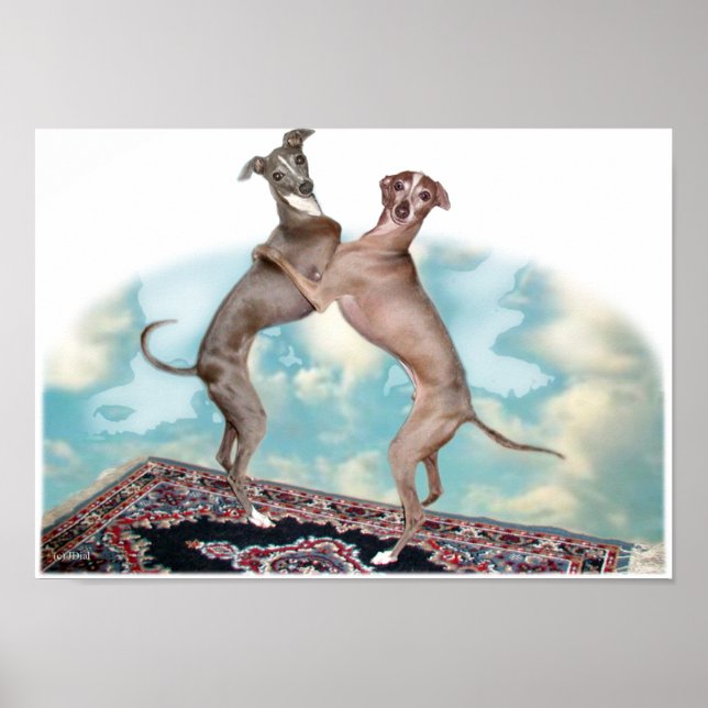 Póster Volantes poco frecuentes (Frente)