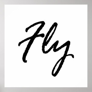 Póster Volar