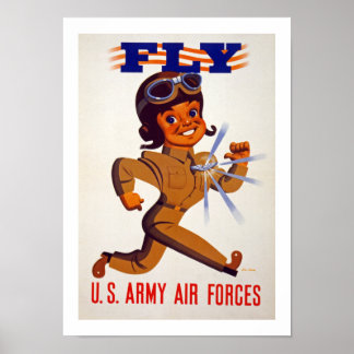 Póster Volar - Fuerzas Aéreas del Ejército de los Estados