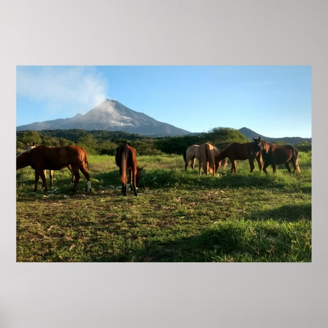 Póster Volcán, Caballos, Montaña, Paisaje (Frente)