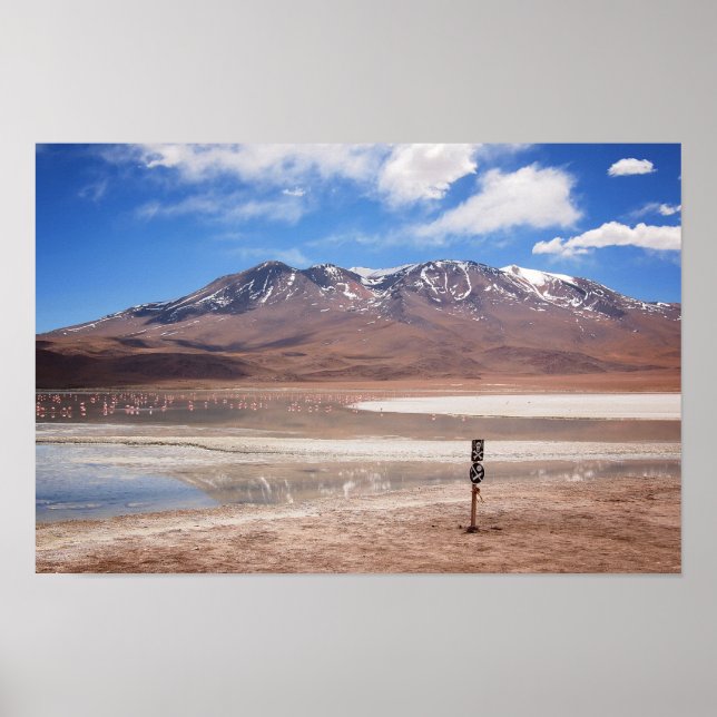 Póster Volcán en un poster paisajístico del altiplano (Frente)