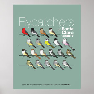 Póster Volcantes del Poster del Condado de Santa Clara