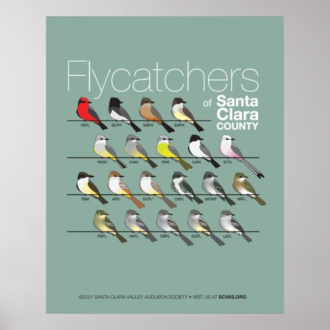 Póster Volcantes del Poster del Condado de Santa Clara (Frente)