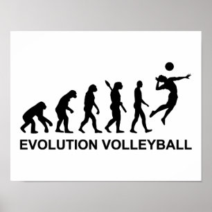 Póster Voleibol de la evolución