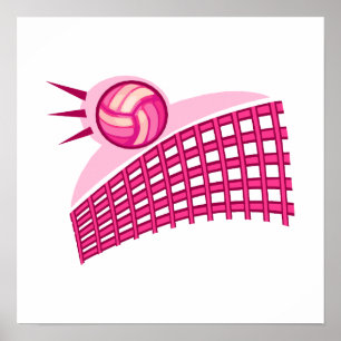 Póster Voleibol y red