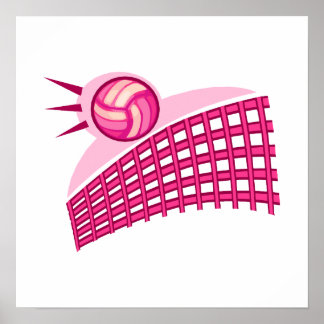 Póster Voleibol y red