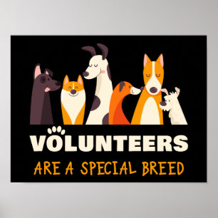 Póster Voluntarios son un refugio especial para perros de