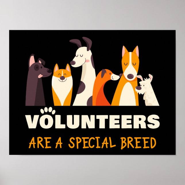 Póster Voluntarios son un refugio especial para perros de (Frente)