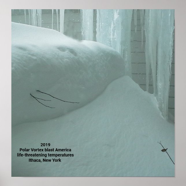 PÓSTER VORTEX POLAR GOLPEA A ITHACA NUEVA YORK 2019 (Frente)