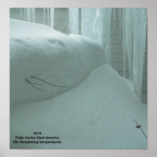 PÓSTER VORTEX POLAR GOLPEA ESTADOS UNIDOS 2019