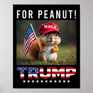 Póster Vota A Trump Por El Peanut La ardilla Trump 2024