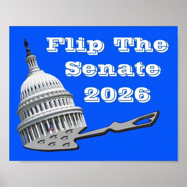 Póster Vota Azul en el Senado 2026 (Frente)