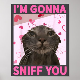 Póster Voy a olerte divertido meme de gatos con brainrot