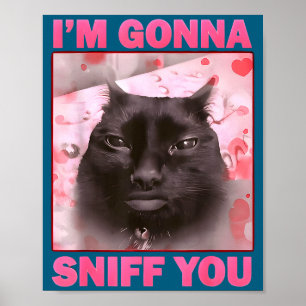 Póster Voy a olfatear meme de gatos divertidos con cerebr