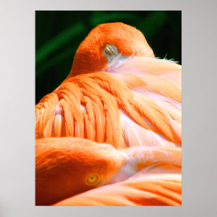 Póster Voy a ver, descansa Poster de Elenne Boothe