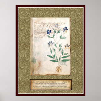 Póster Voynich Plate 18