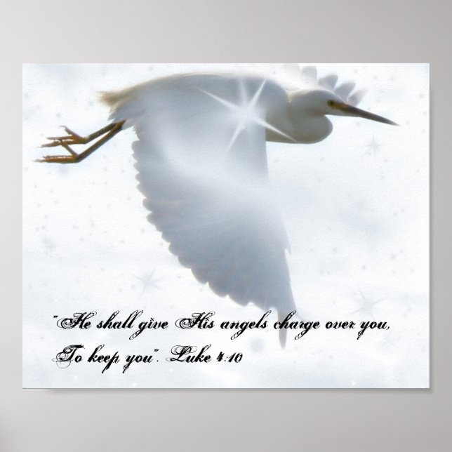 Póster Vuelo Angel (Frente)