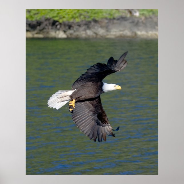PÓSTER VUELO DE AGUA (Frente)