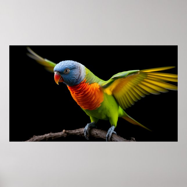 Póster 🌈 Vuelo de Libertad Lorikeet - Arcoíris Dinámico (Frente)