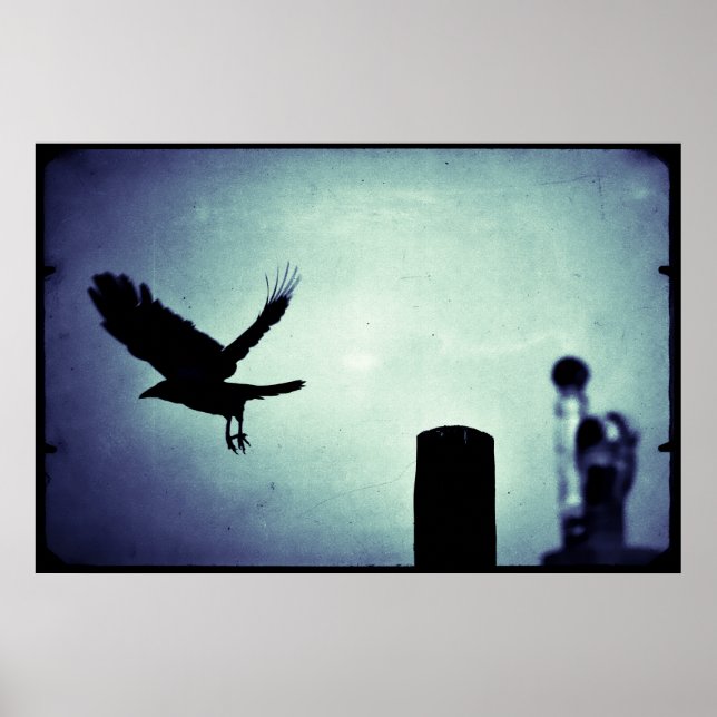 Póster Vuelo de medianoche de la urraca (Frente)