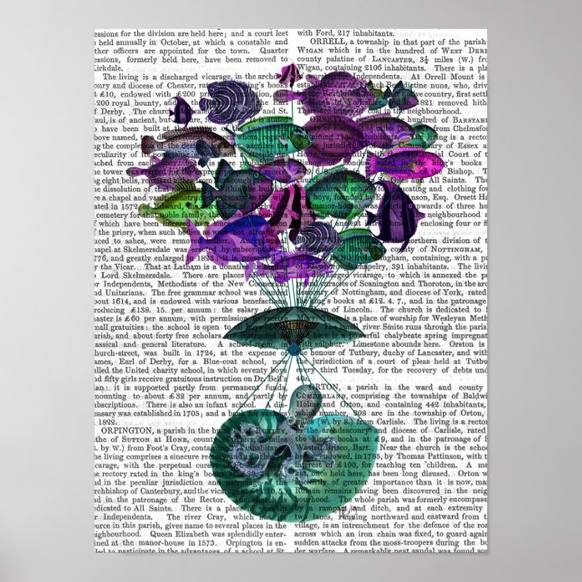 Póster Vuelo Del Globo De Aire Caliente De Pescado (Frente)