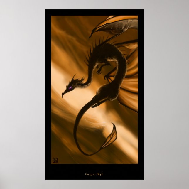 Póster Vuelo Dragon (Frente)
