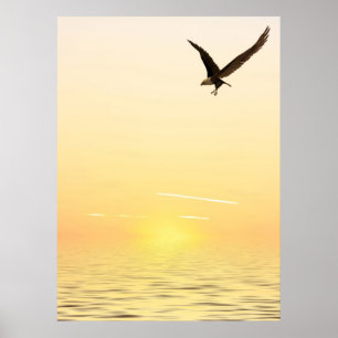 Póster Vuelo Eagle