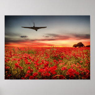 Póster Vuelo final de Vulcan