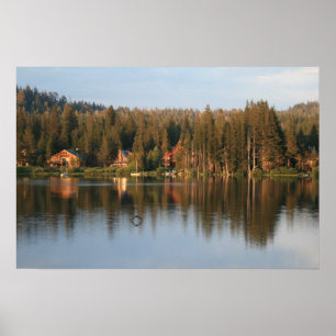 Póster Vuelo silencioso