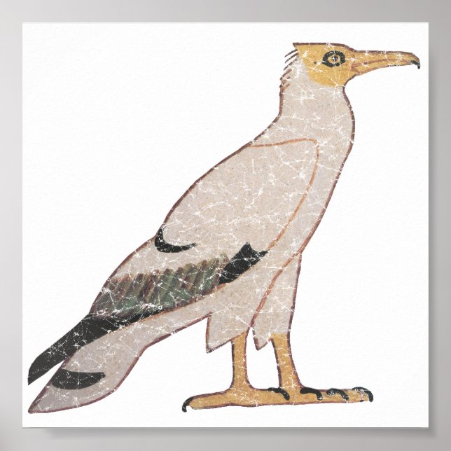 Póster Vulnerabilidad (Frente)