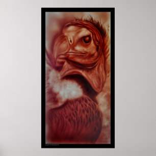 Póster Vulnerabilidad